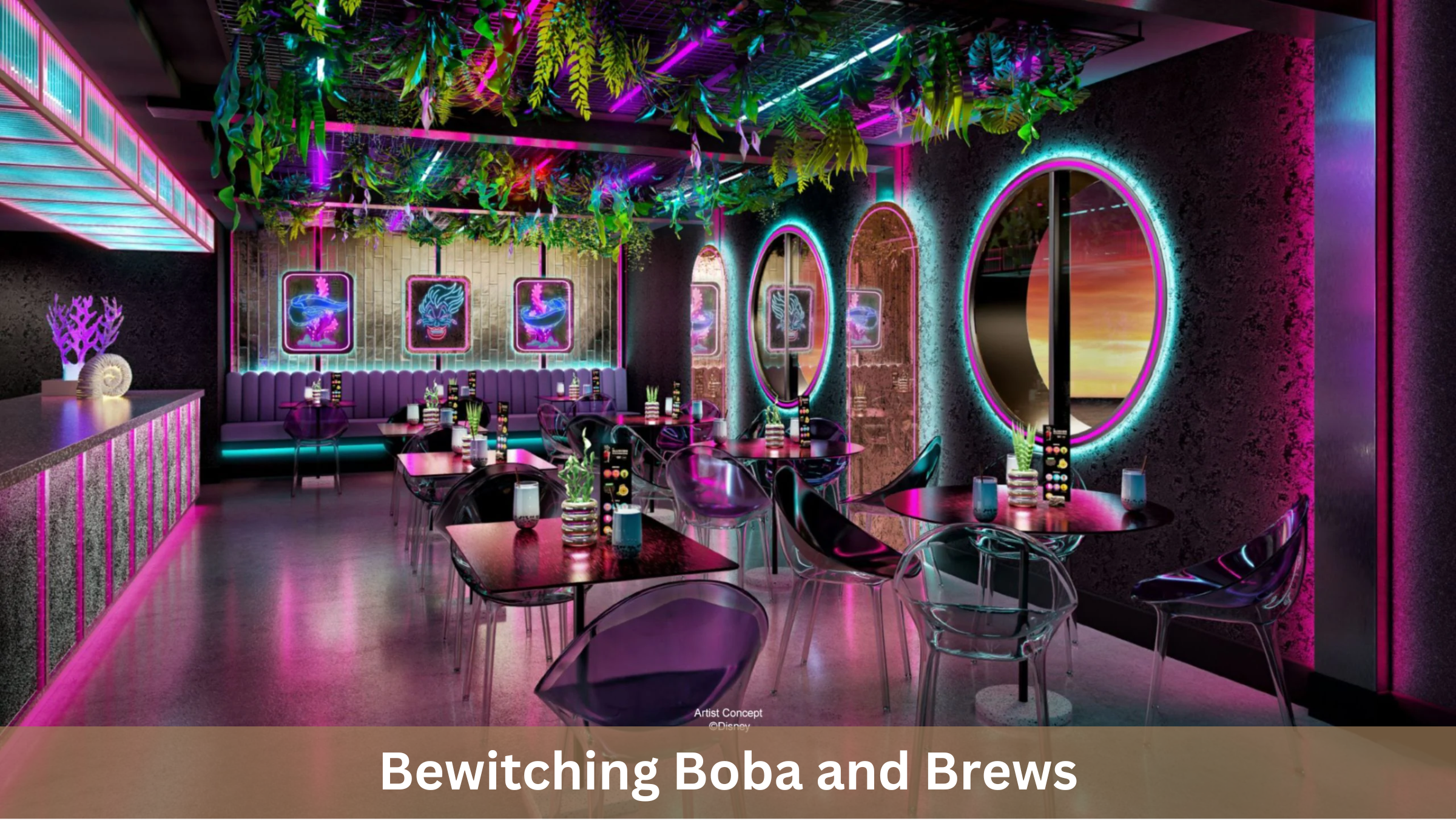 Bewitching Boba
